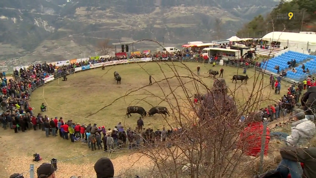 club rencontre valais