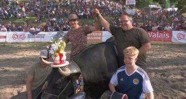 « Nubie » ist Königin: Eringerkuh der Ried-Briger Züchterfamilie Kilian und Bastian Eyer gewinnt am Sonntag das Nationale Finale