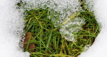 Walliser Skigebiete: Die Schneeverhältnisse der Zukunft sind unsicher, das neue Projekt “Kompass Schnee” zeigt aber mögliche Strategien