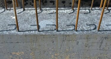 Experten diskutieren vor Publikum über neue Ansätze im nachhaltigen Bauen.