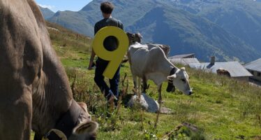 Kanal9 Sommerserie: Auf der Alpe Grimsel im Goms besuchen wir eine Familie aus Köln.