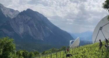 Walliser Trauben, Berner Handwerk – die Naturweine von Satellites of Love entstehen dort, wo Leidenschaft zwei Orte verbindet