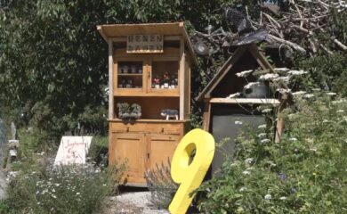 Kanal9 Sommerserie: “Ds Niini unnerwägs” mit der Kräuterhexe auf der Suche nach Heilpflanzen