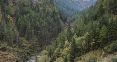 Wild. Unberührt. Prämiert: Die Laggina bei Simplon Dorf – jetzt offiziell einer der schönsten Wildbäche der Schweiz.