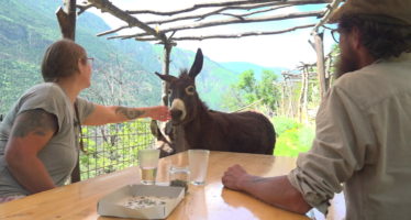 TAGESINFO vom 07.06.2024