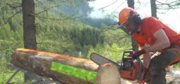 TAGESINFO vom 14.05.2025