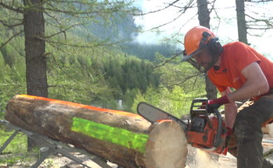 TAGESINFO vom 14.05.2025