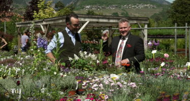 Tenue de Jardin – Les plantes de rocaille