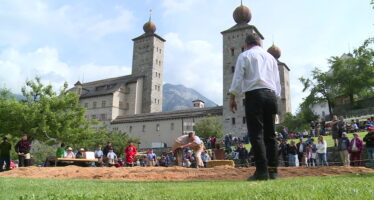 TAGESINFO vom 26.05.2025