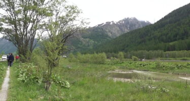 TAGESINFO vom 27.05.2025