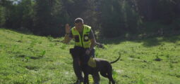TAGESINFO vom 04.07.2025