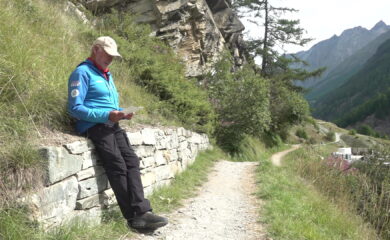 TAGESINFO vom 04.08.2025