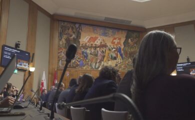 Die Septembersession geht zu Ende: Themen sind Gamsenried, Handyverbot, Cannabis
