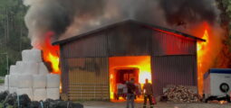 TAGESINFO vom 07.10.2025
