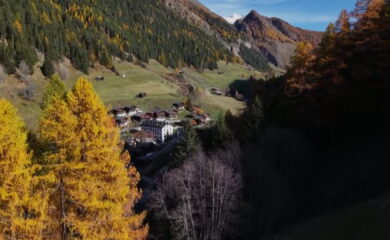 TAGESINFO vom 06.11.2025