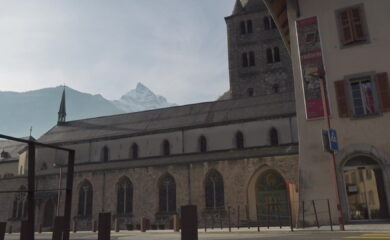 TAGESINFO vom 12.11.2025