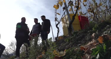 TAGESINFO vom 14.11.2025