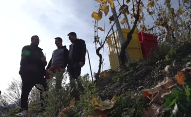 TAGESINFO vom 14.11.2025