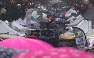 TAGESINFO vom 24.11.2025