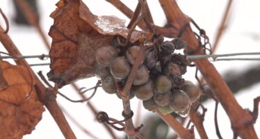 TAGESINFO vom 27.11.2025