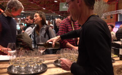 TAGESINFO vom 30.01.2026