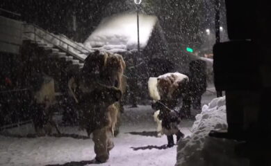 TAGESINFO vom 13.02.2026