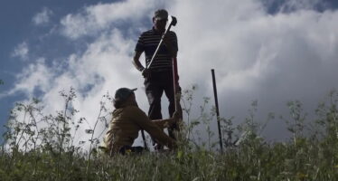 TAGESINFO vom 25.02.2026