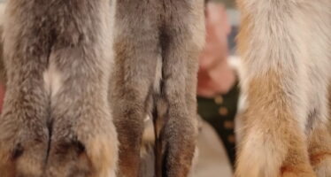 TAGESINFO vom 03.03.2026