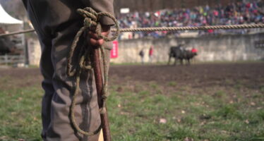 TAGESINFO vom 24.03.2026