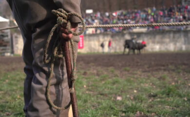 TAGESINFO vom 24.03.2026