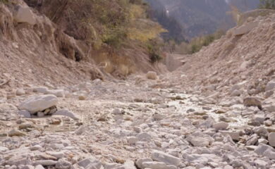 TAGESINFO vom 26.03.2026