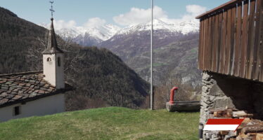 TAGESINFO vom 16.04.2026