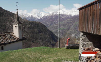 TAGESINFO vom 16.04.2026