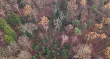 TAGESINFO vom 17.04.2026