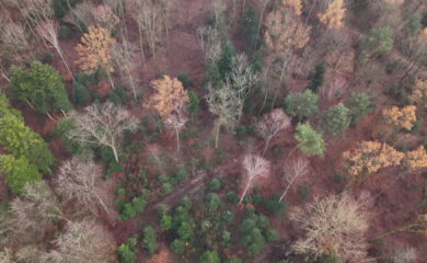 TAGESINFO vom 17.04.2026