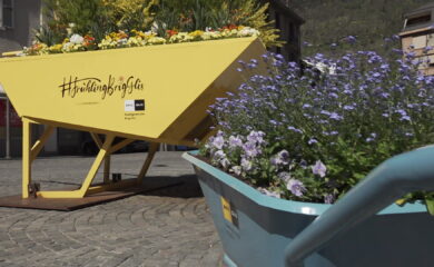 TAGESINFO vom 23.04.2026