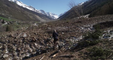 TAGESINFO vom 29.04.2026