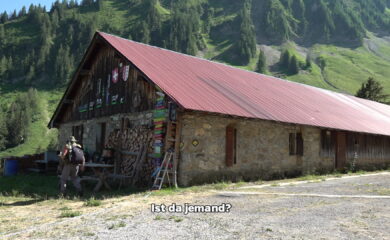 TAGESINFO vom 22.07.2026