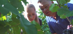 TAGESINFO vom 07.08.2026