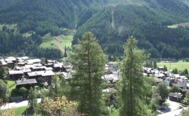 TAGESINFO vom 15.09.2026