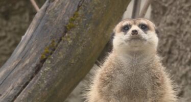 Unser Wochenrückblick quer durch die Schweiz
