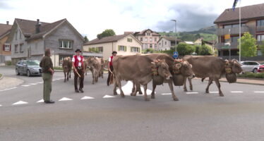 Unser Wochenrückblick quer durch die Schweiz