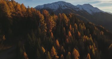 KlimaScan Binntal: Die Analyse ist abgeschlossen. Der nächste Schritt sind konkrete Massnahmen