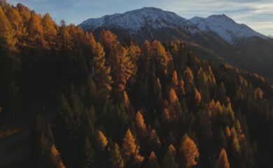 KlimaScan Binntal: Die Analyse ist abgeschlossen. Der nächste Schritt sind konkrete Massnahmen