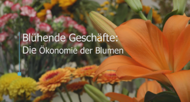 Blumenhandel: ein heikles Gleichgewicht