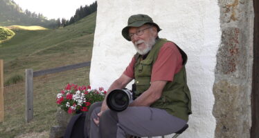 Torgon: des mouflons photogéniques