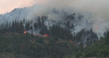 Untersuchung zeigt: Schüsse führten zum Waldbrand von Bitsch