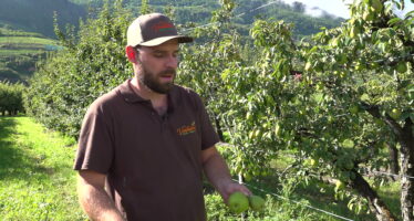 Agriculture face à la sécheresse: des prix et des calibres en discussion