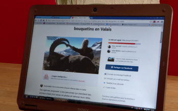 Une pétition pour chasser les safaris aux bouquetins du Valais