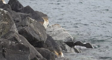 Un composé chimique provenant du Valais contamine les eaux du Léman